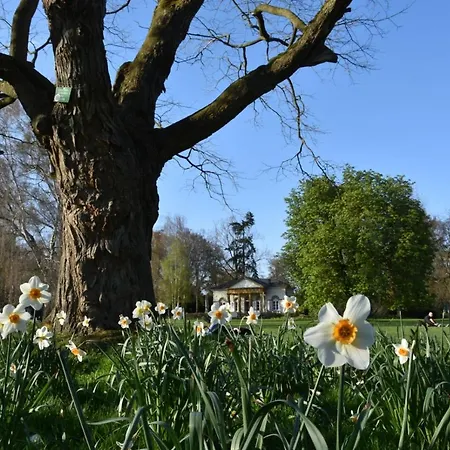 Modernes Stadt-apartement Mitte Appartement