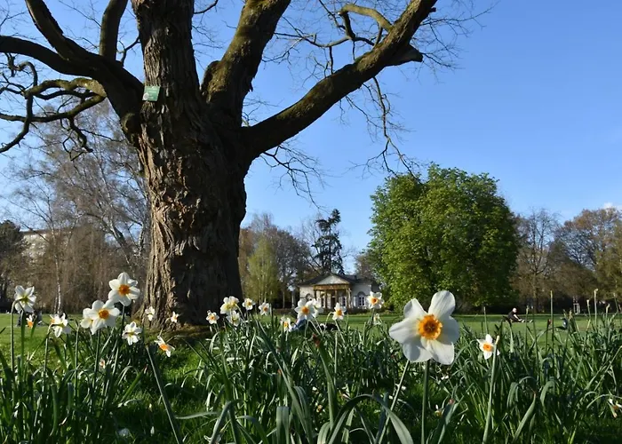 Modernes Stadt-apartement Mitte Appartement